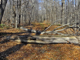 picture taken during a hike