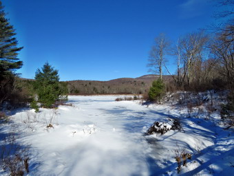 picture taken during a hike