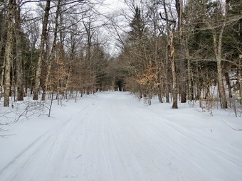 picture taken during a hike