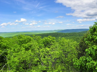 picture taken during a hike