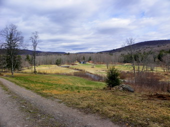 picture taken during a hike