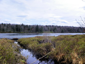 picture taken during a hike