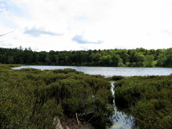 picture taken during a hike