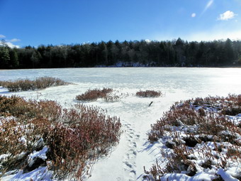 picture taken during a hike