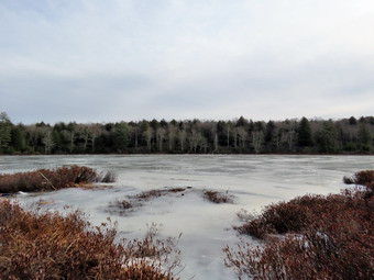 picture taken during a hike