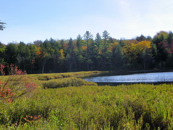 picture taken during a hike