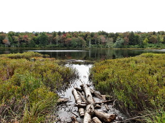 picture taken during a hike