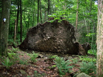 picture taken during a hike