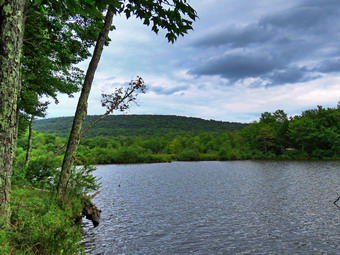 picture taken during a hike