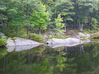 picture taken during a hike