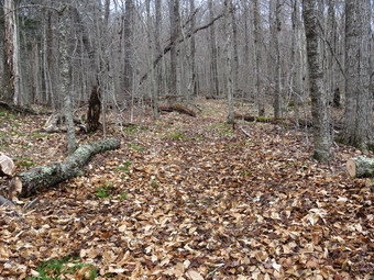 picture taken during a hike