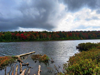 picture taken during a hike