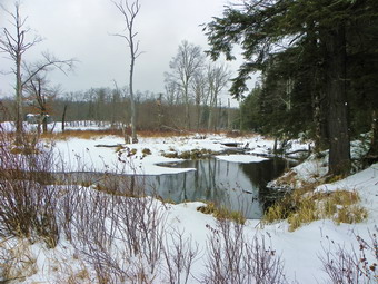 picture taken during a hike