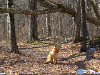 picture taken during a hike