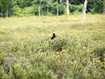 picture taken during a hike