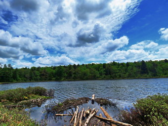 picture taken during a hike