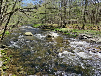 picture taken during a hike