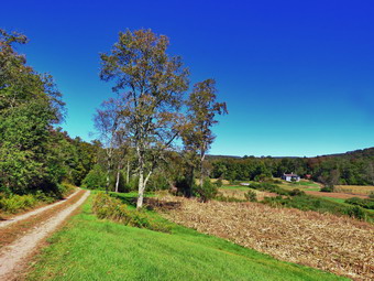 picture taken during a hike