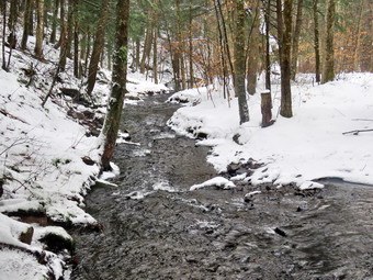 picture taken during a hike