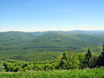 picture taken during a hike