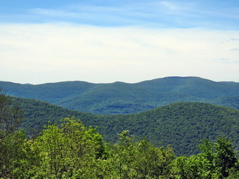 picture taken during a hike