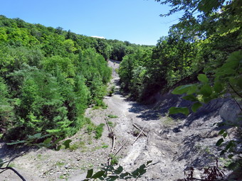 picture taken during a hike