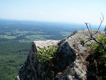 picture taken during a hike