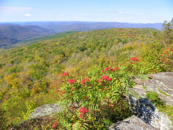 picture taken during a hike