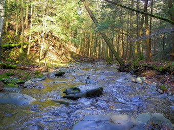 picture taken during a hike