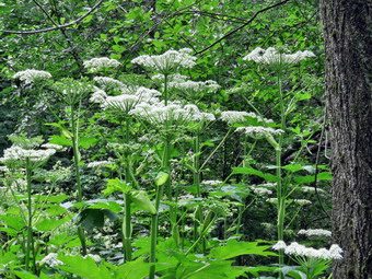 picture taken during a hike