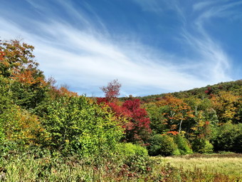 picture taken during a hike