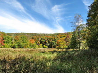 picture taken during a hike