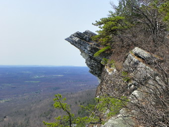 picture taken during a hike