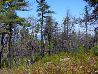 picture taken during a hike