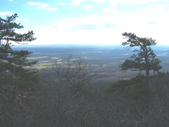 picture taken during a hike