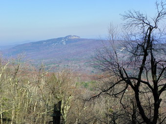 picture taken during a hike