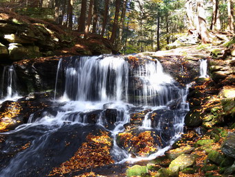 picture taken during a hike