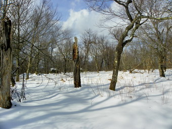 picture taken during a hike