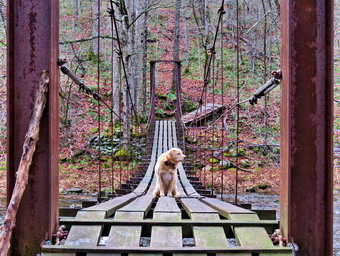 picture taken during a hike