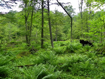 picture taken during a hike