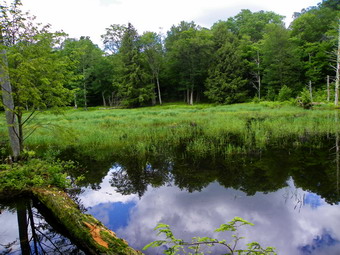 picture taken during a hike