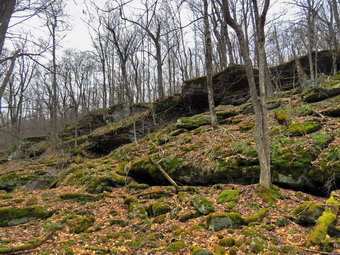 picture taken during a hike