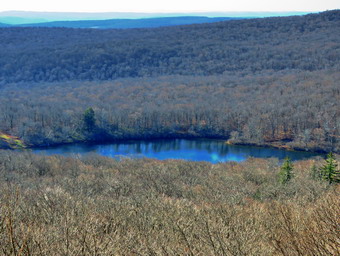 picture taken during a hike