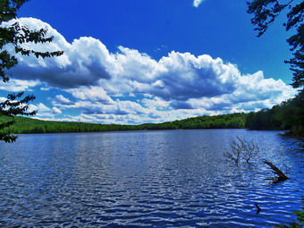 picture taken during a hike