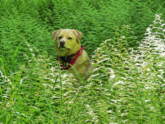 picture taken during a hike