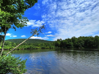 picture taken during a hike