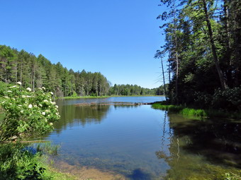 picture taken during a hike