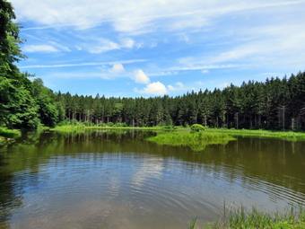 picture taken during a hike