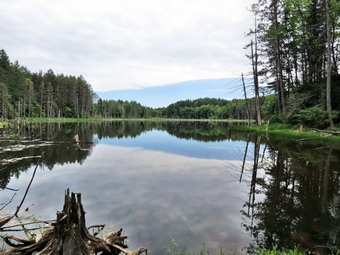 picture taken during a hike