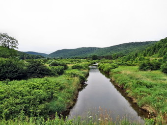 picture taken during a hike